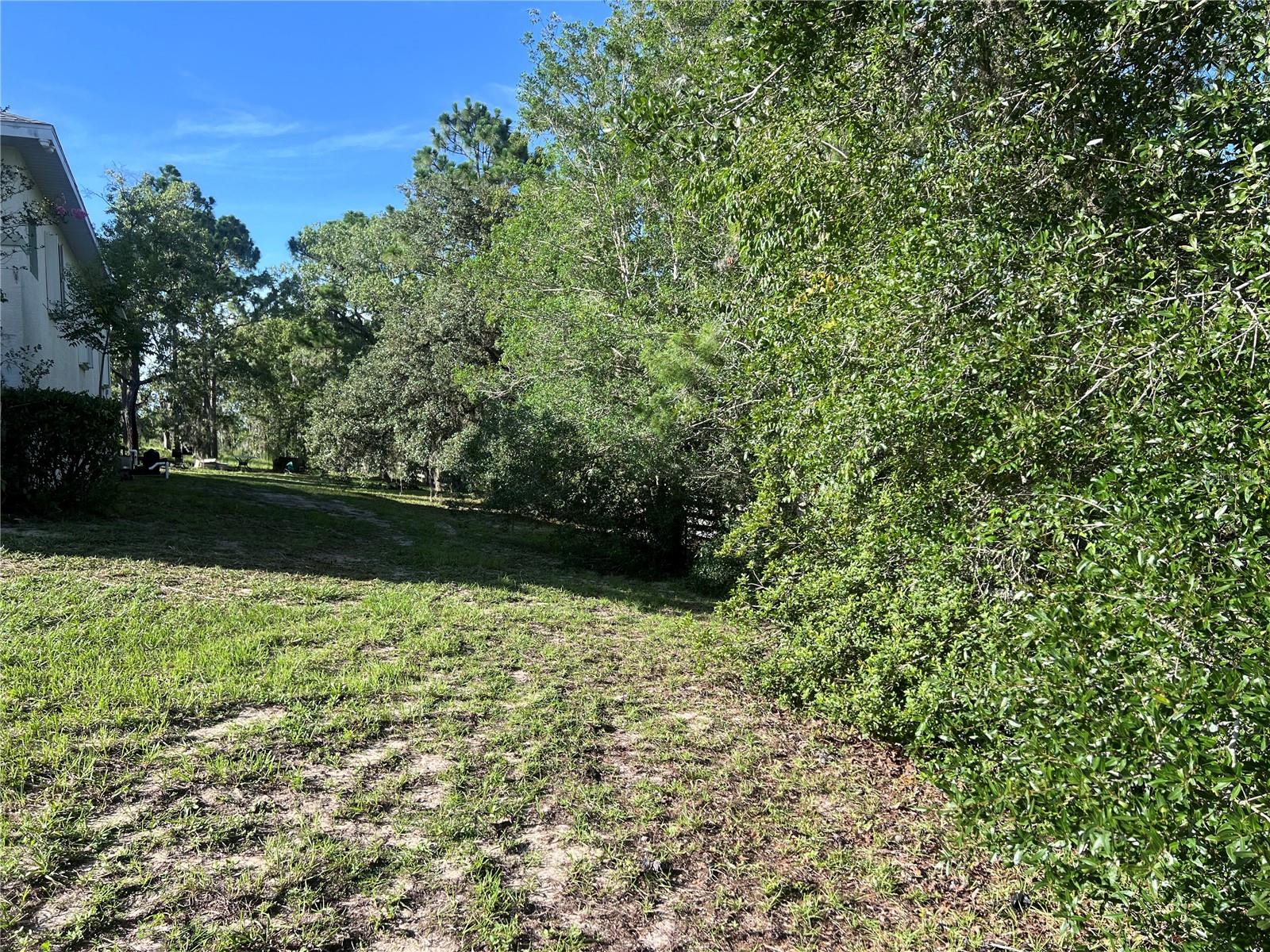 Listing photo id 4 for 2515 Hampshire Street
