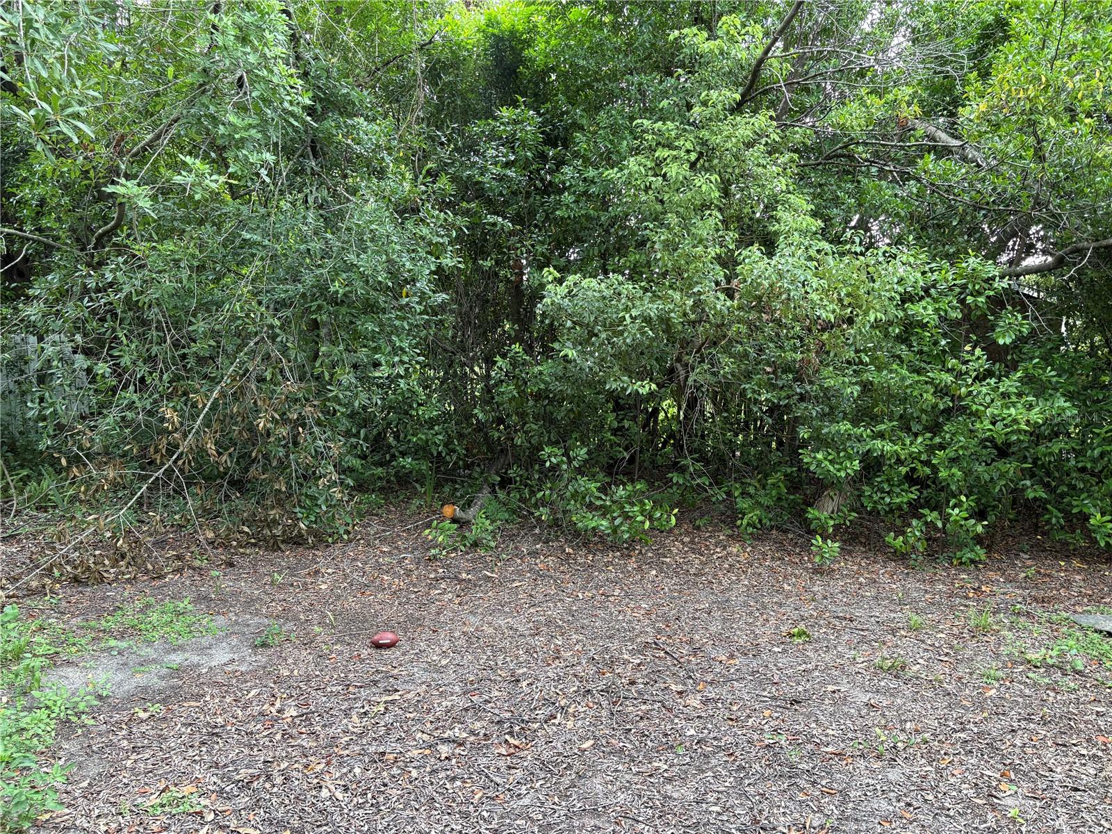 Image 17 of 17 For 2206 Bonanza Avenue