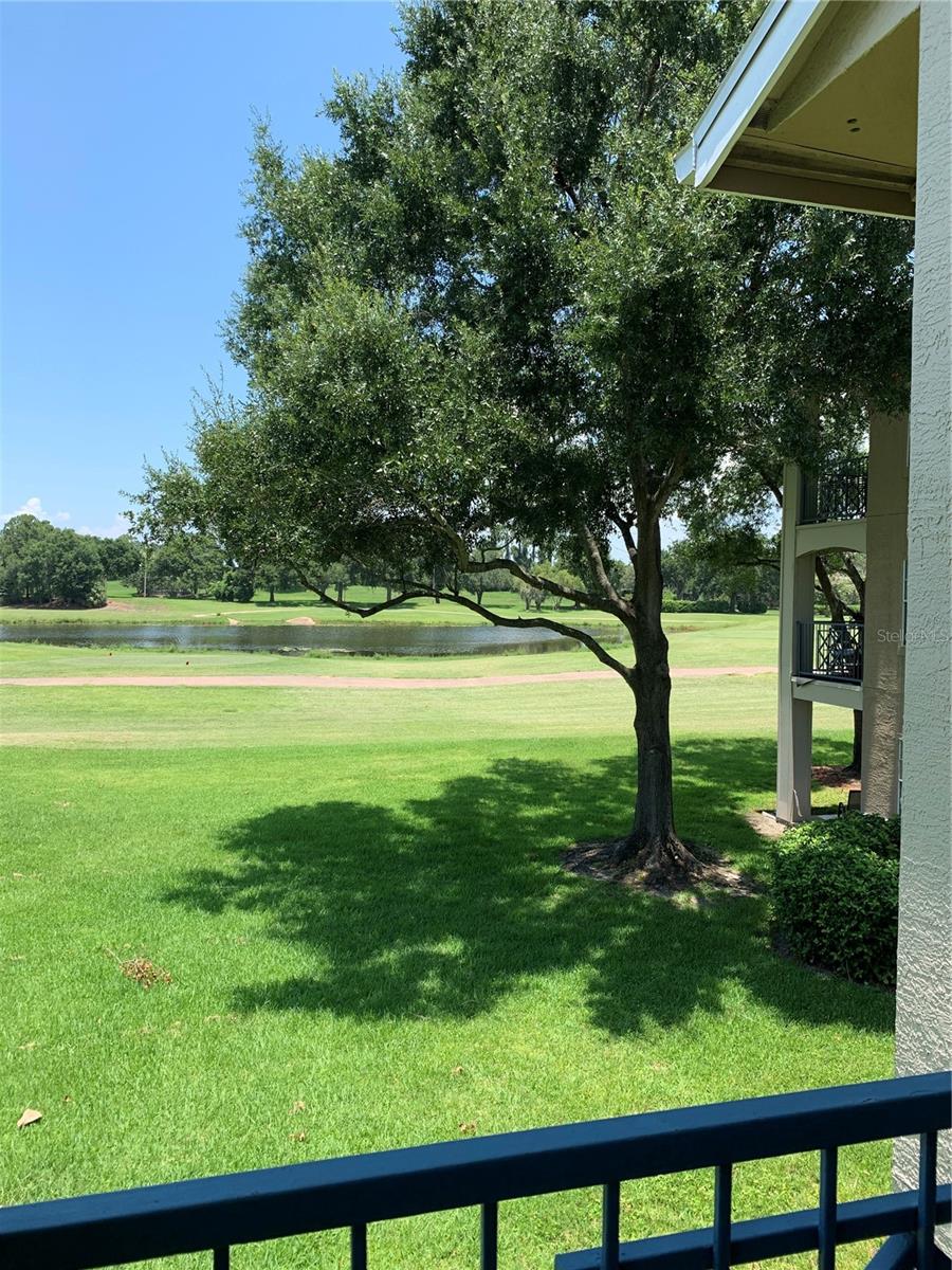 Image 2 of 36 For 7340 Westpointe Boulevard 320