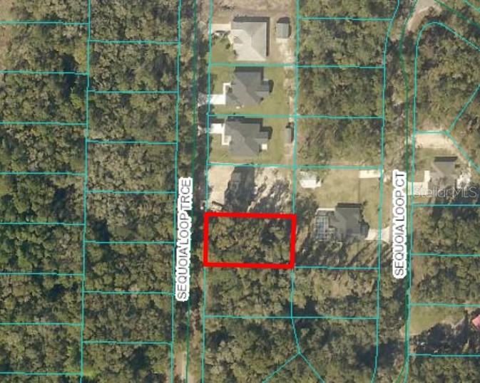 Details for 17 Sequoia Trace, OCKLAWAHA, FL 32179