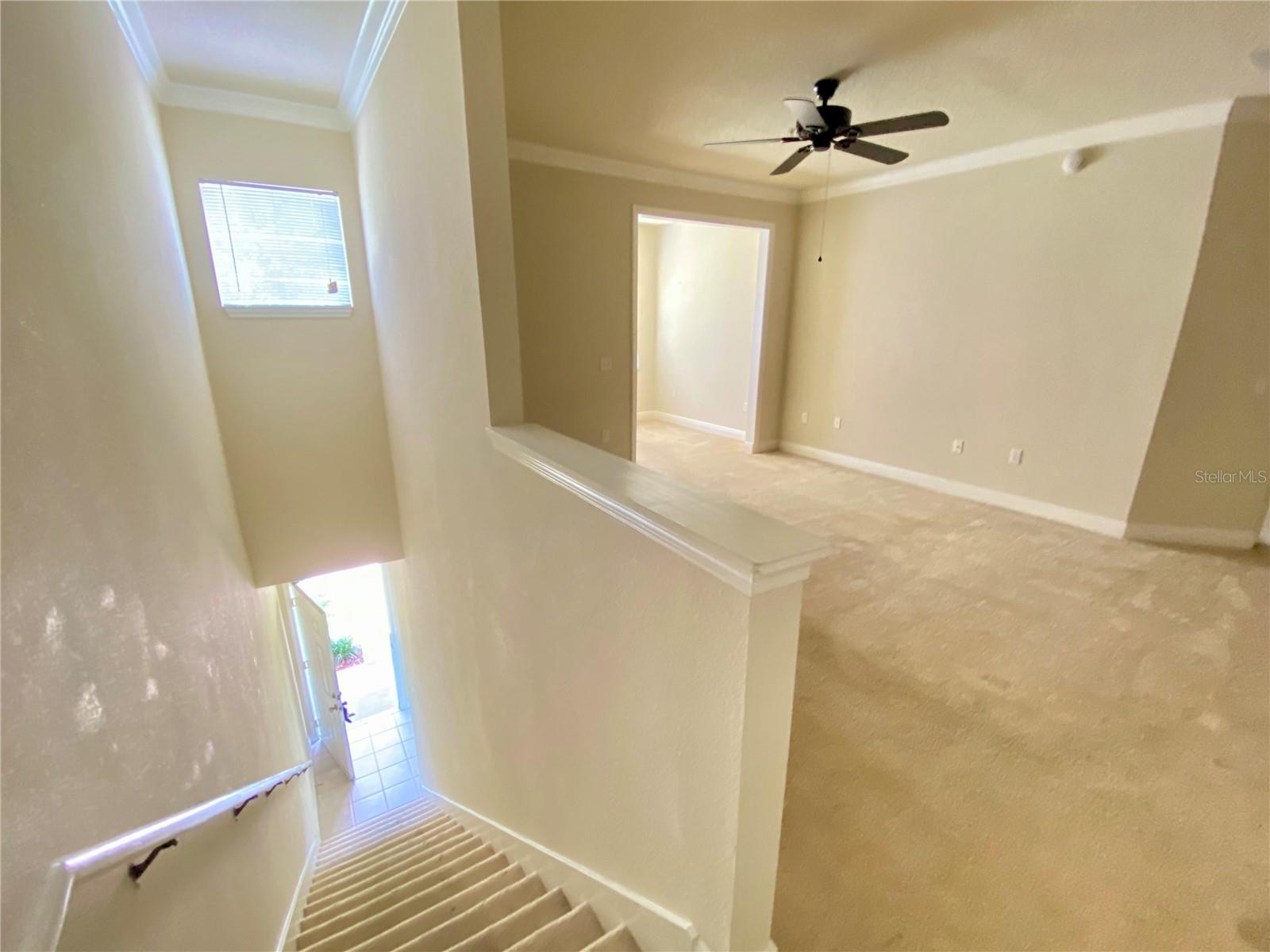 Image 5 of 13 For 303 Southern Pecan Circle 206