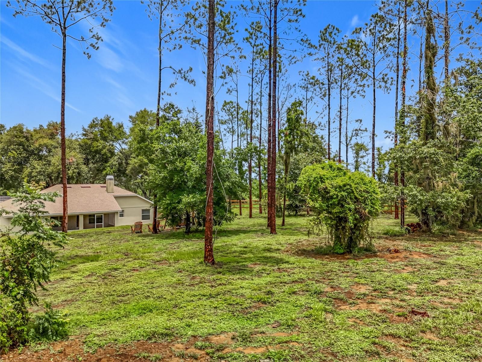 Image 46 of 50 For 16634 Pine Timber Avenue