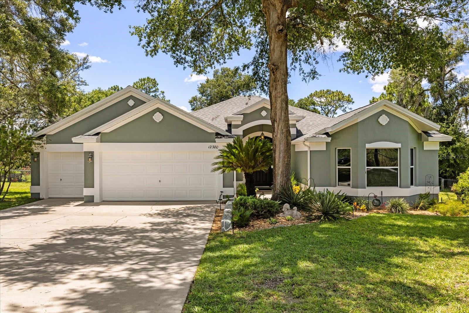 Details for 12380 97th Avenue, BELLEVIEW, FL 34420