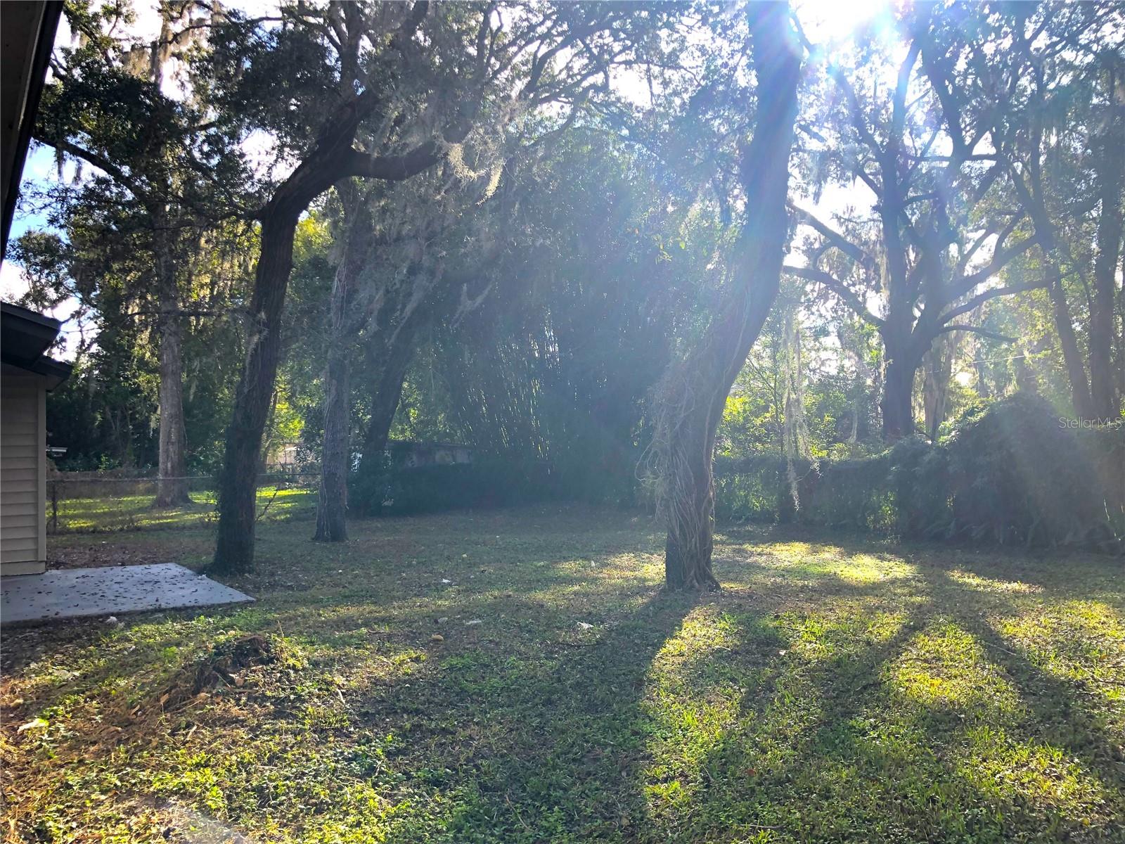 Image 10 of 10 For 348 Palmetto Avenue