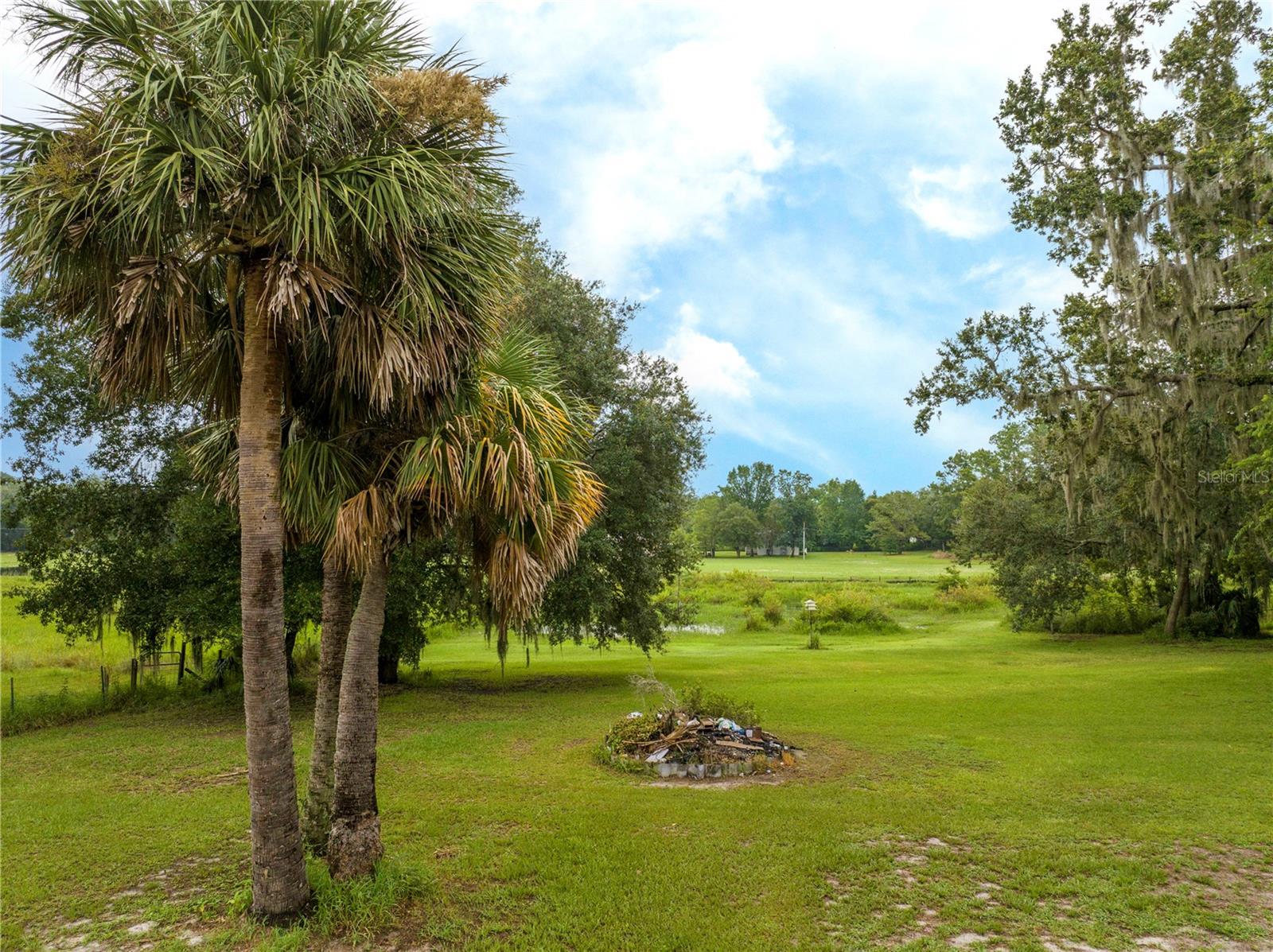 Image 9 of 44 For 36720 Emeralda Island Road