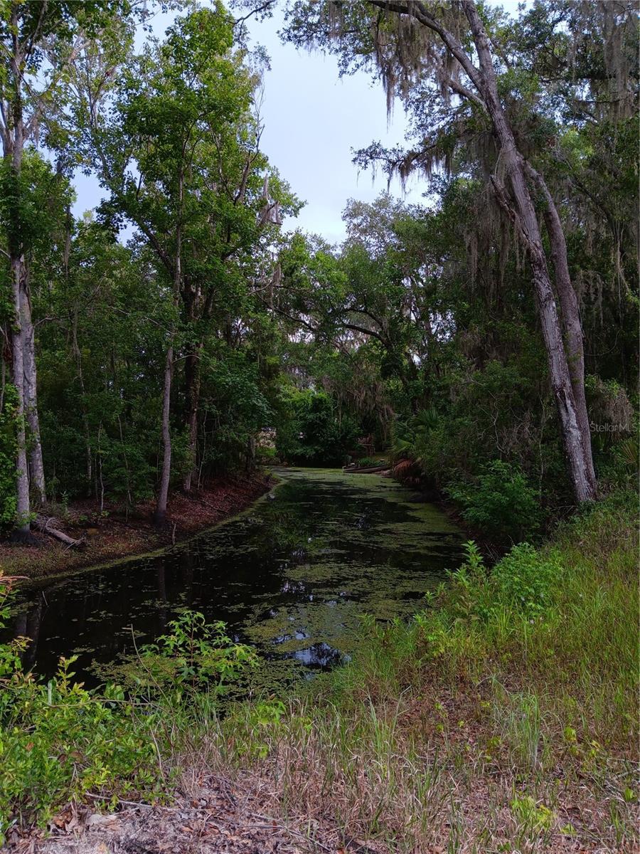 Image 3 of 4 For 9117 Royal Palm Drive