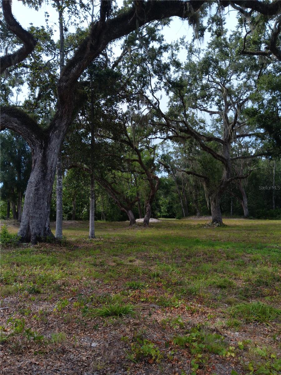 Image 5 of 5 For 9117 Royal Palm Drive