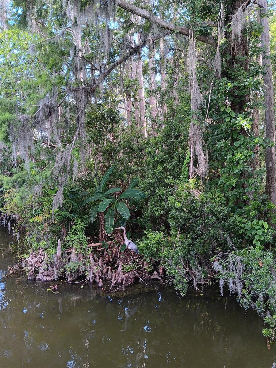 Image 6 of 6 For 9117 Royal Palm Drive