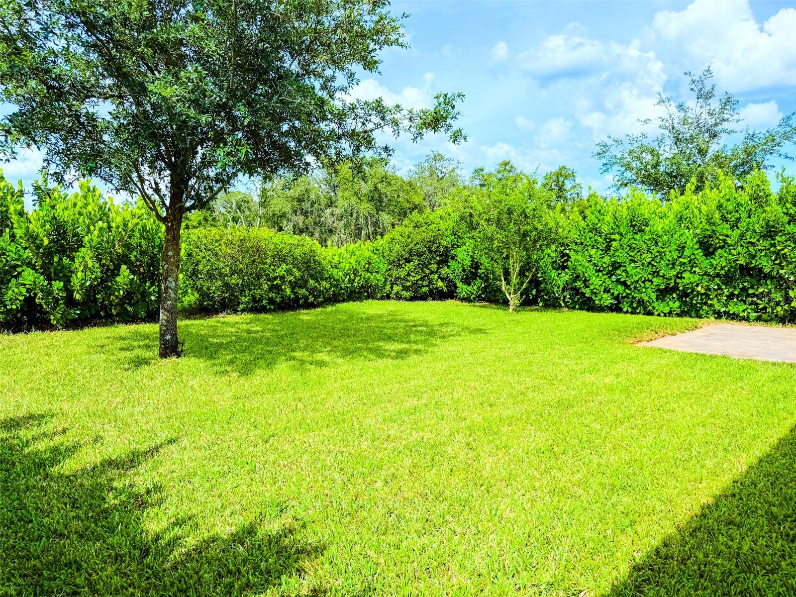 Image 43 of 52 For 1047 Oak Bluff Drive