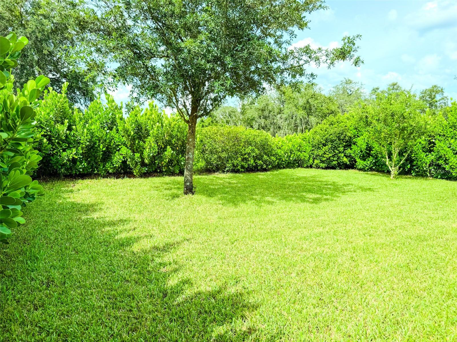 Image 44 of 52 For 1047 Oak Bluff Drive