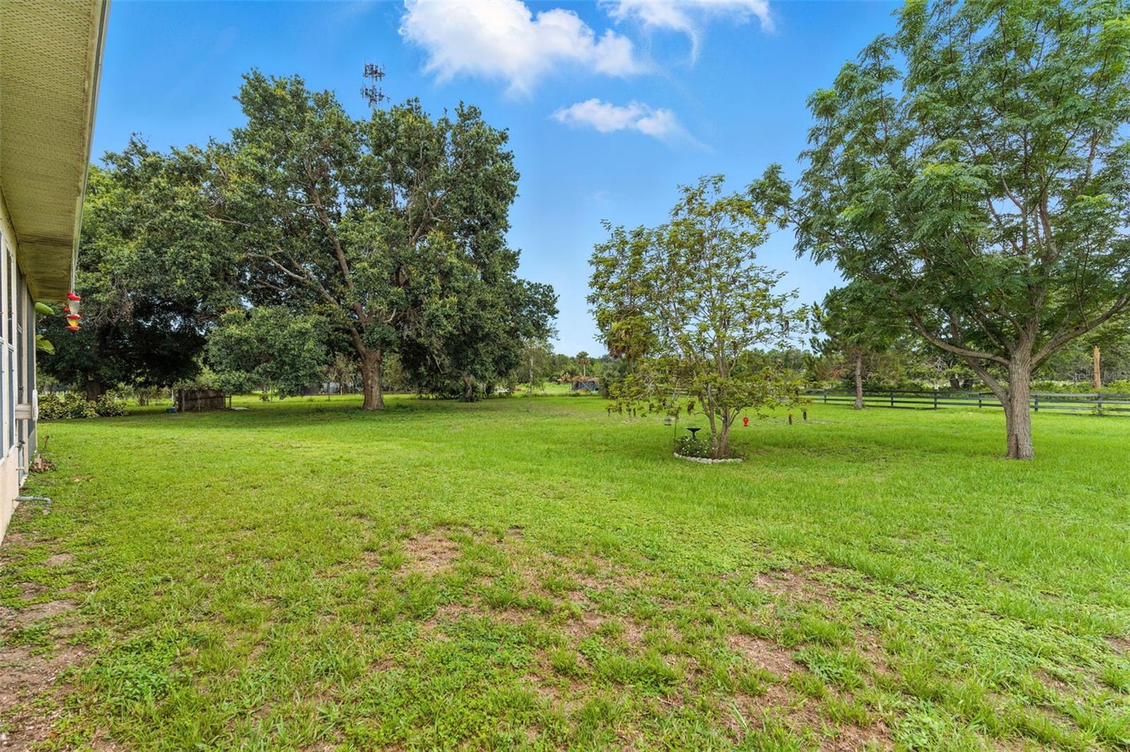 Image 24 of 43 For 27241 County Road 448a
