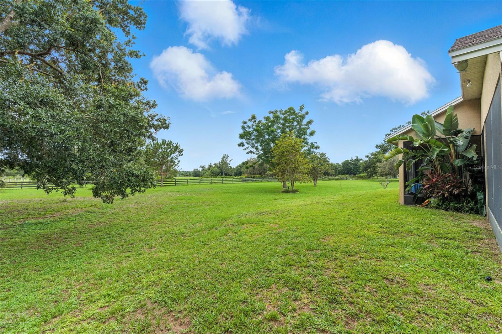 Image 25 of 43 For 27241 County Road 448a