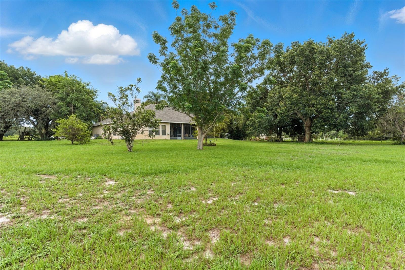 Image 26 of 43 For 27241 County Road 448a
