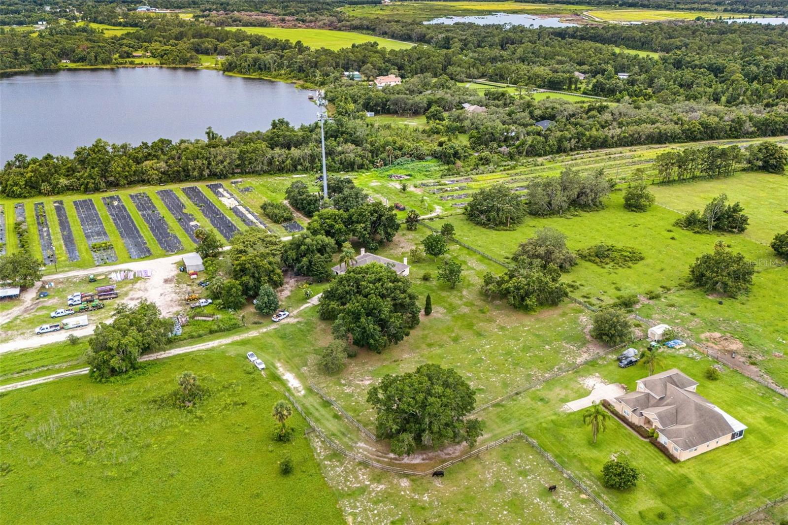 Image 42 of 43 For 27241 County Road 448a
