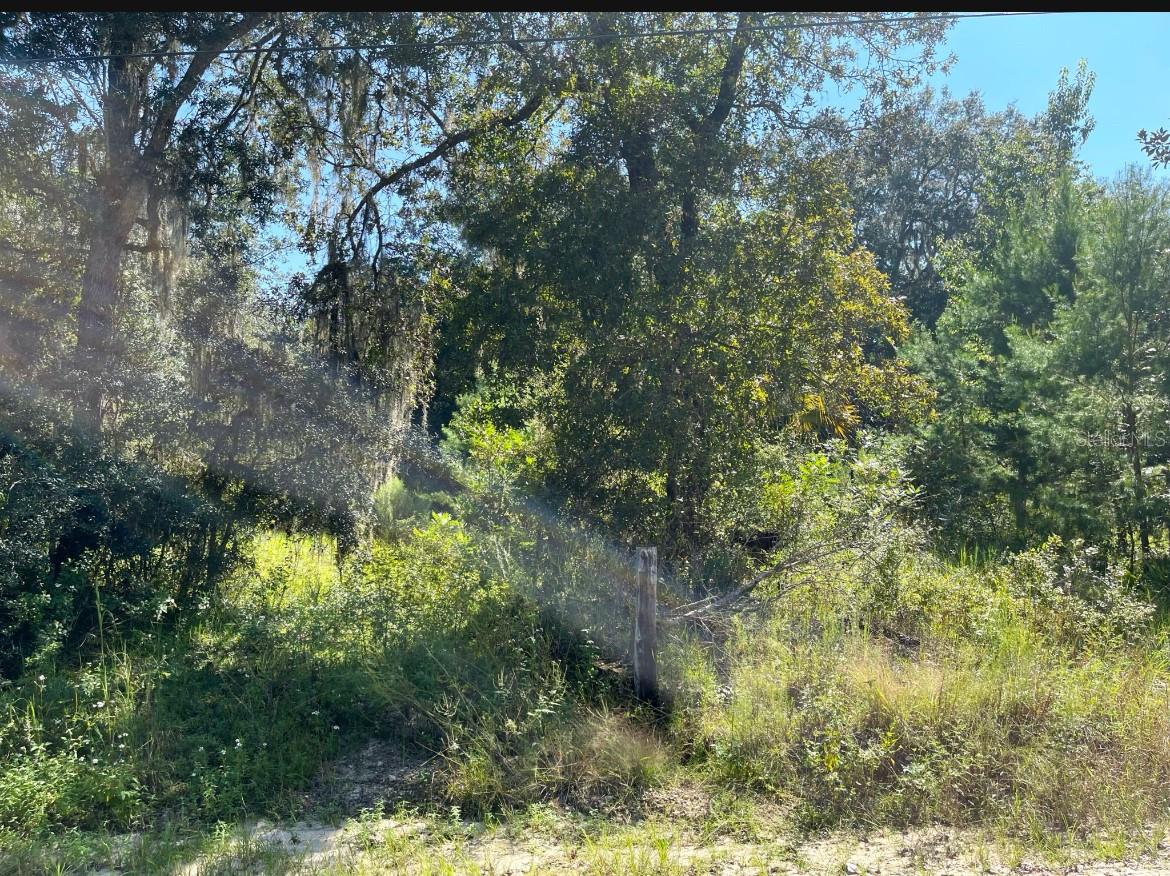 Image 3 of 7 For 4215 172nd Avenue