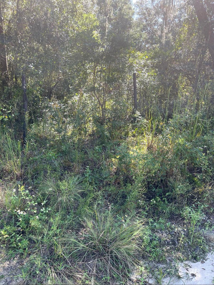 Image 4 of 7 For 4215 172nd Avenue