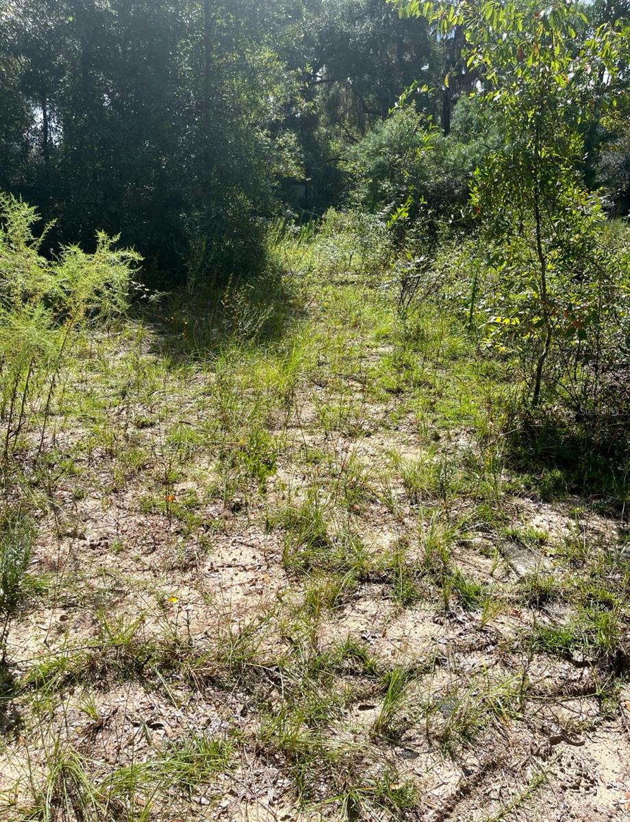 Image 6 of 7 For 4215 172nd Avenue