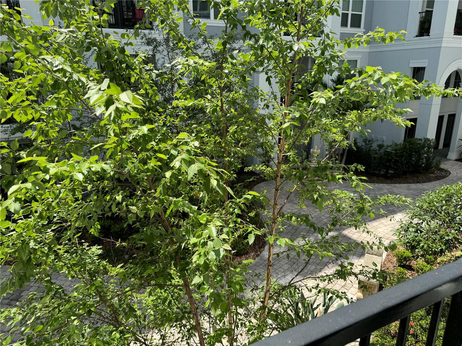 Image 14 of 16 For 300 South Street 2016