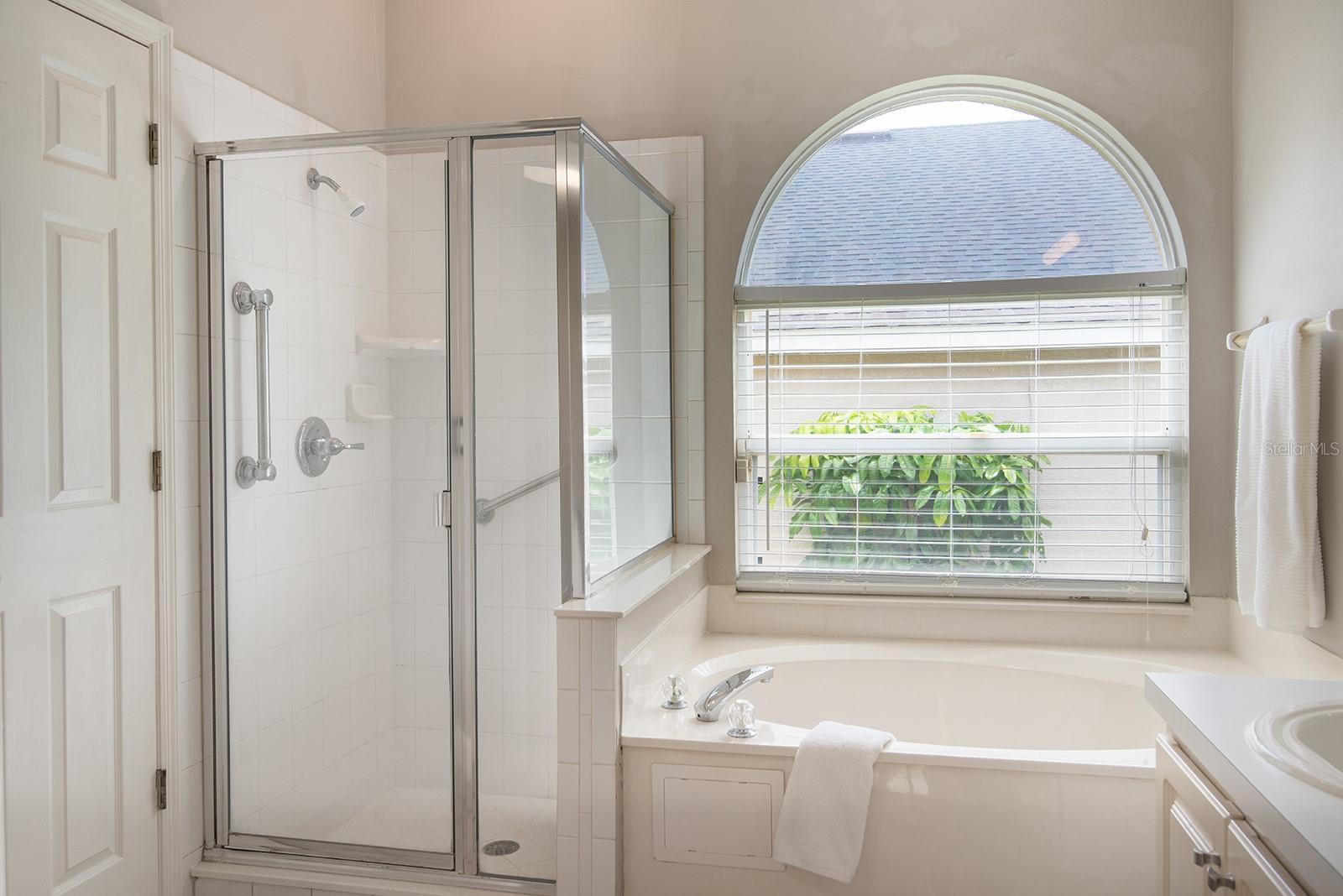 Image 16 of 45 For 789 White Ivey Court