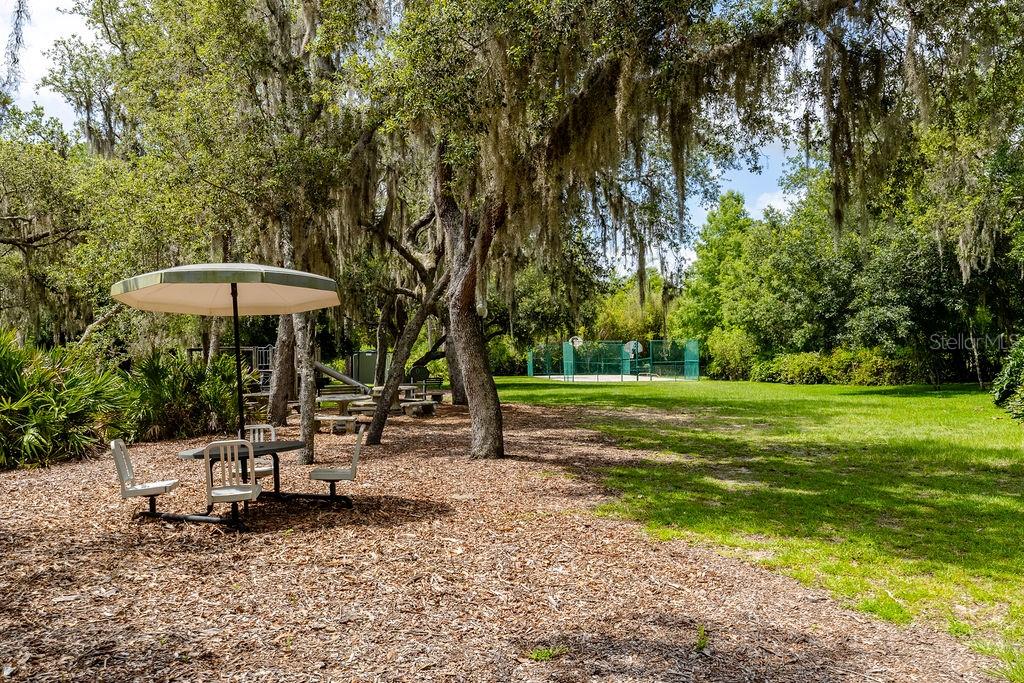 Image 30 of 39 For 11634 Nellie Oaks Bend
