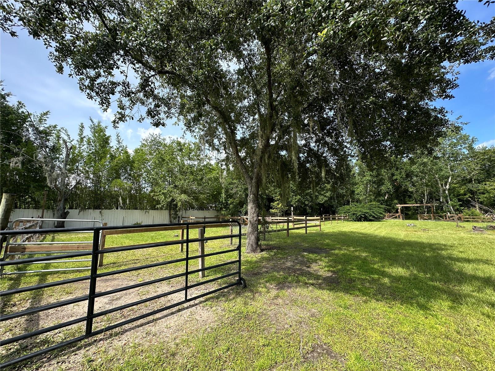 Image 82 of 89 For 3111 Rambler Avenue