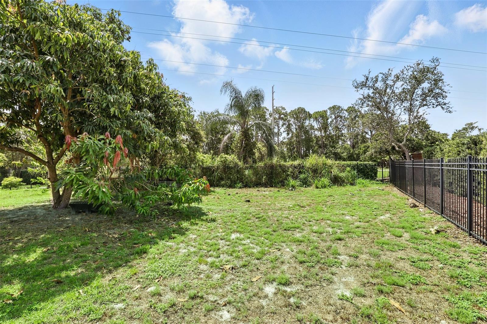 Image 49 of 52 For 5224 Vistamere Court