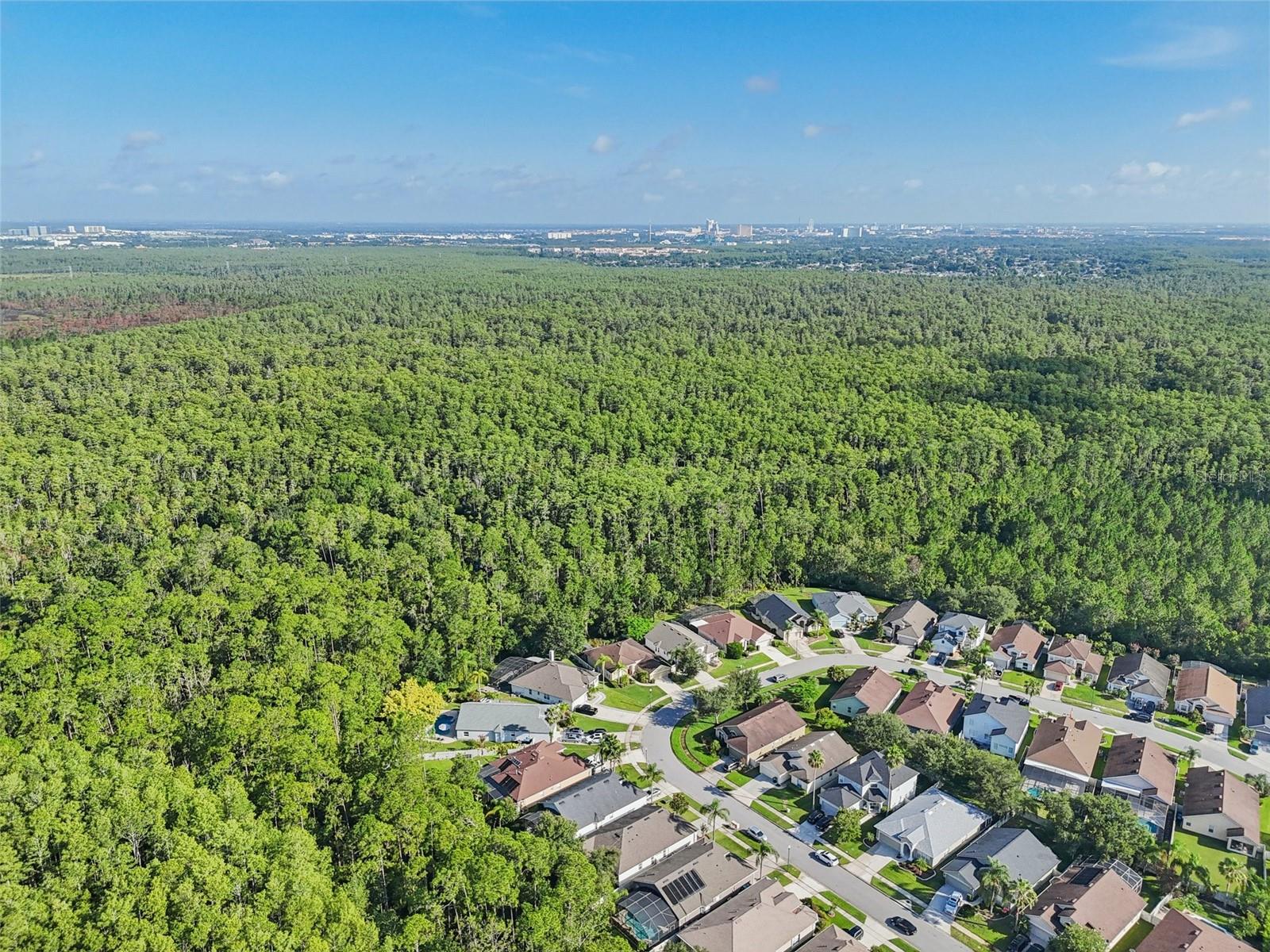 Image 50 of 57 For 4831 Chalfont Drive