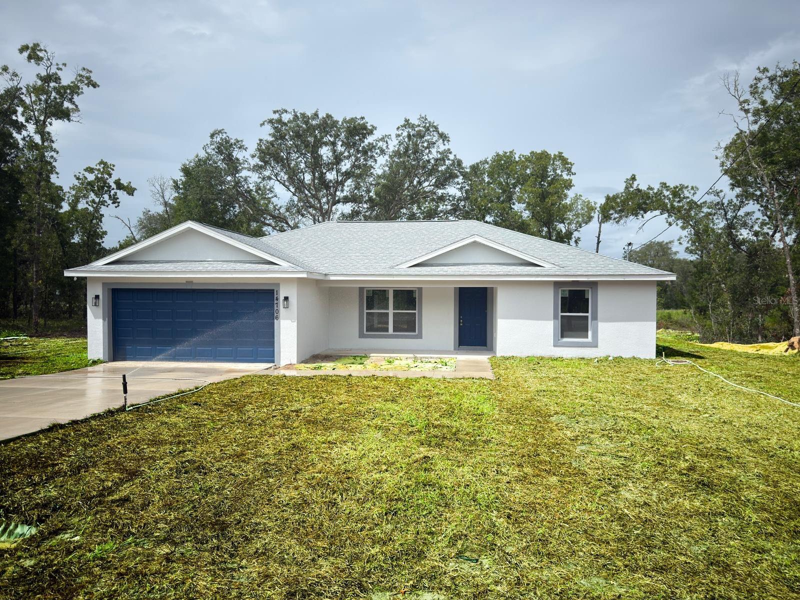 Details for 14706 112th Place, OCKLAWAHA, FL 32179