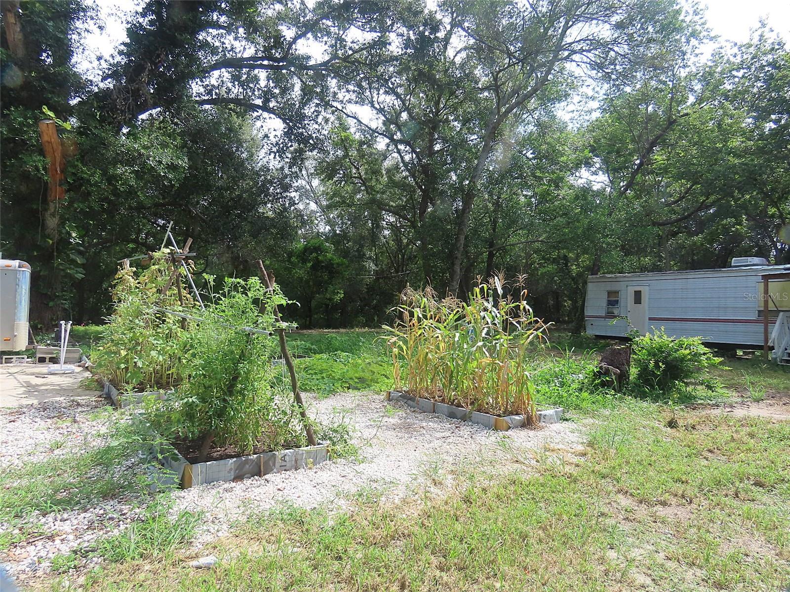 Image 10 of 12 For 32944 County Road 437