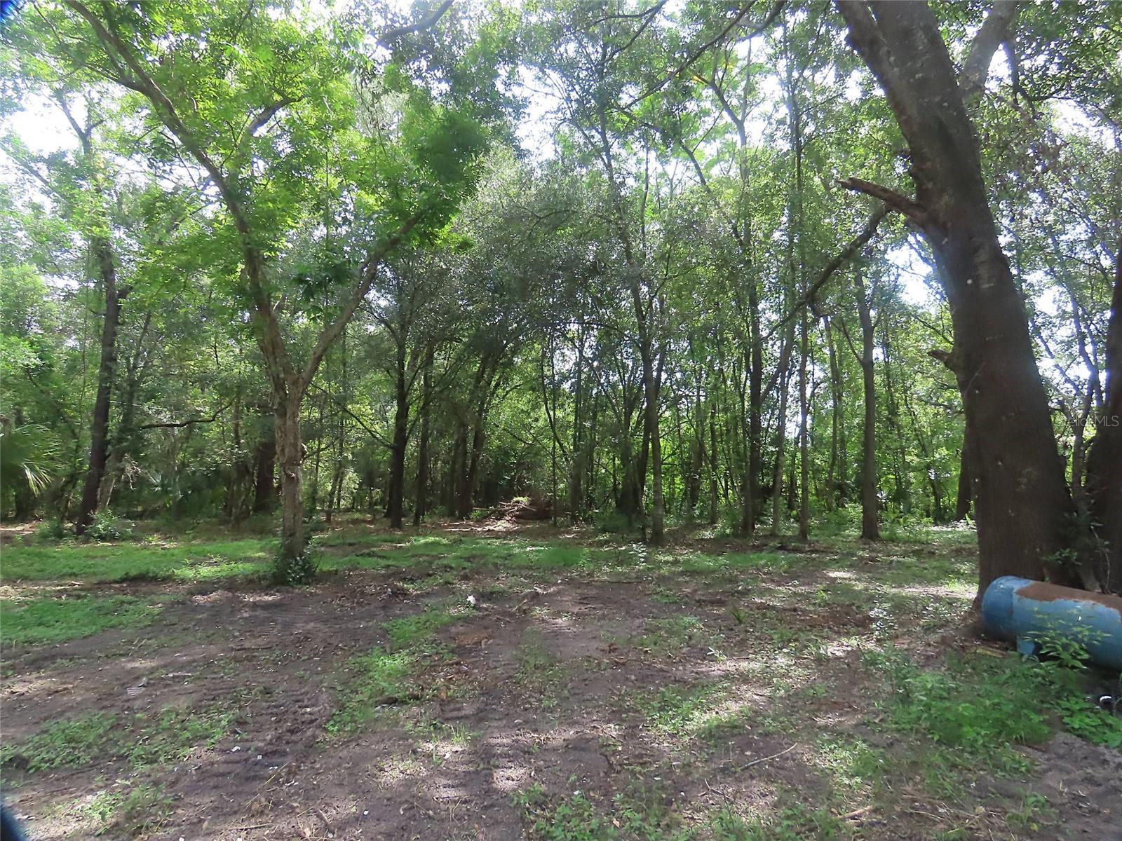 Image 4 of 12 For 32944 County Road 437
