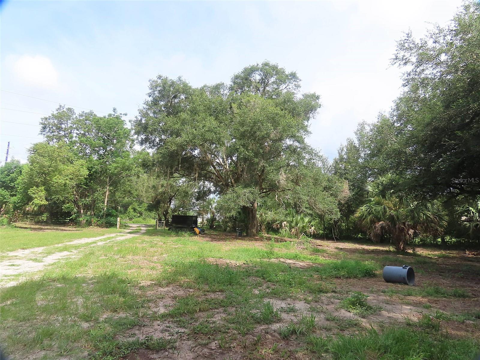 Image 6 of 12 For 32944 County Road 437