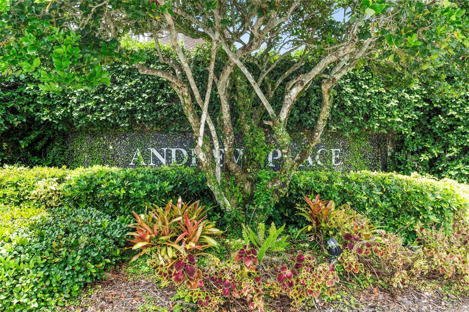 Image 38 of 39 For 8525 Buckley Court