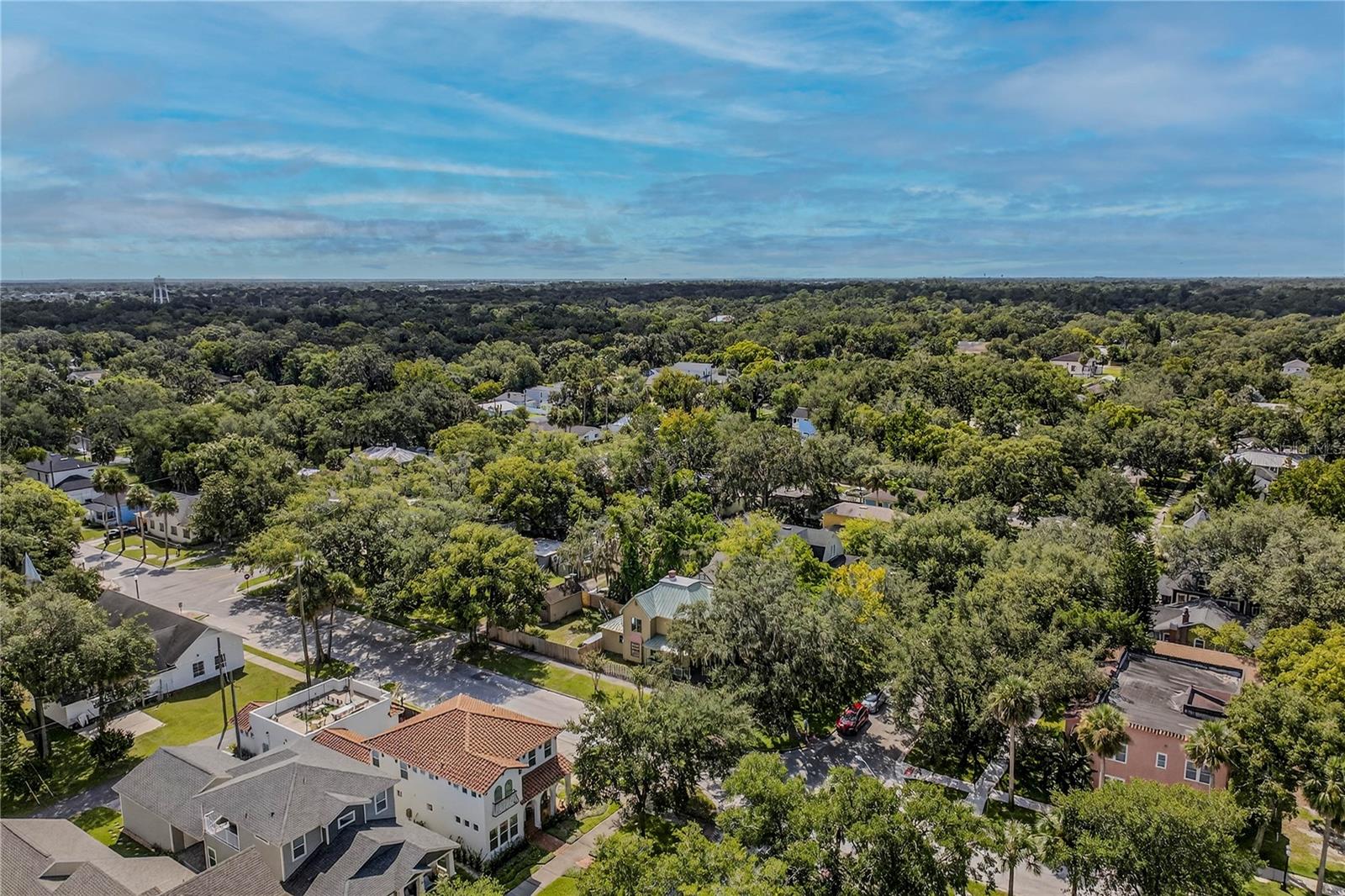 Image 42 of 51 For 601 Palmetto Avenue