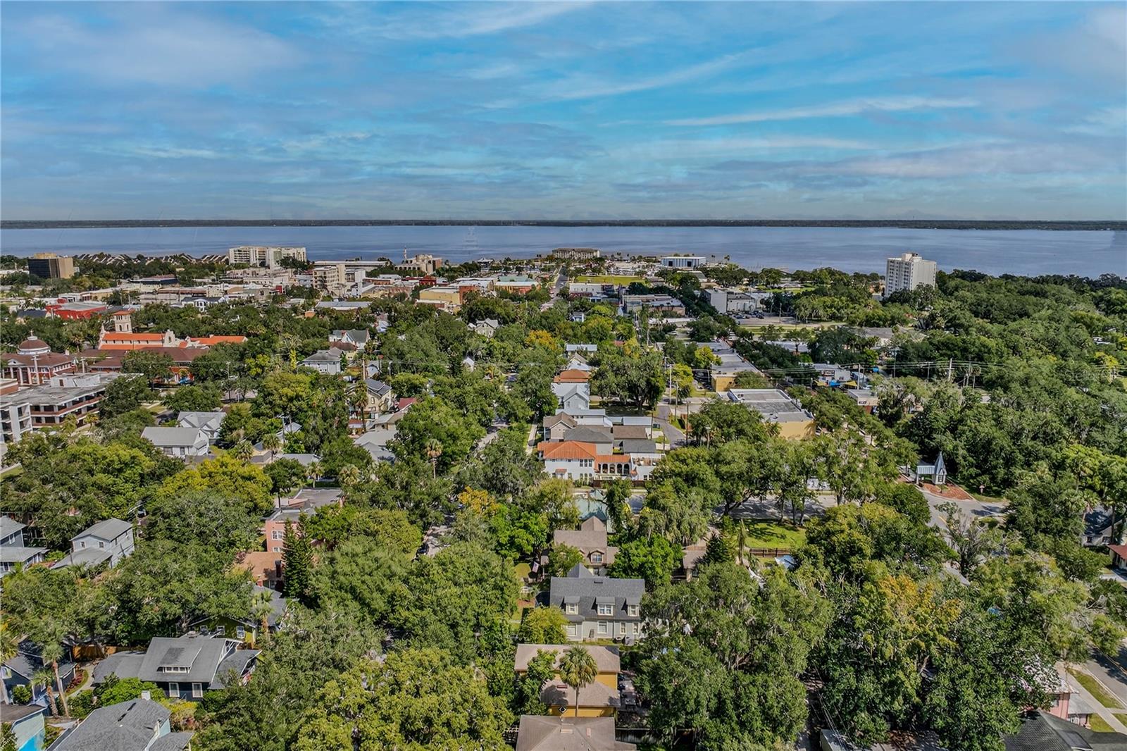 Image 49 of 51 For 601 Palmetto Avenue