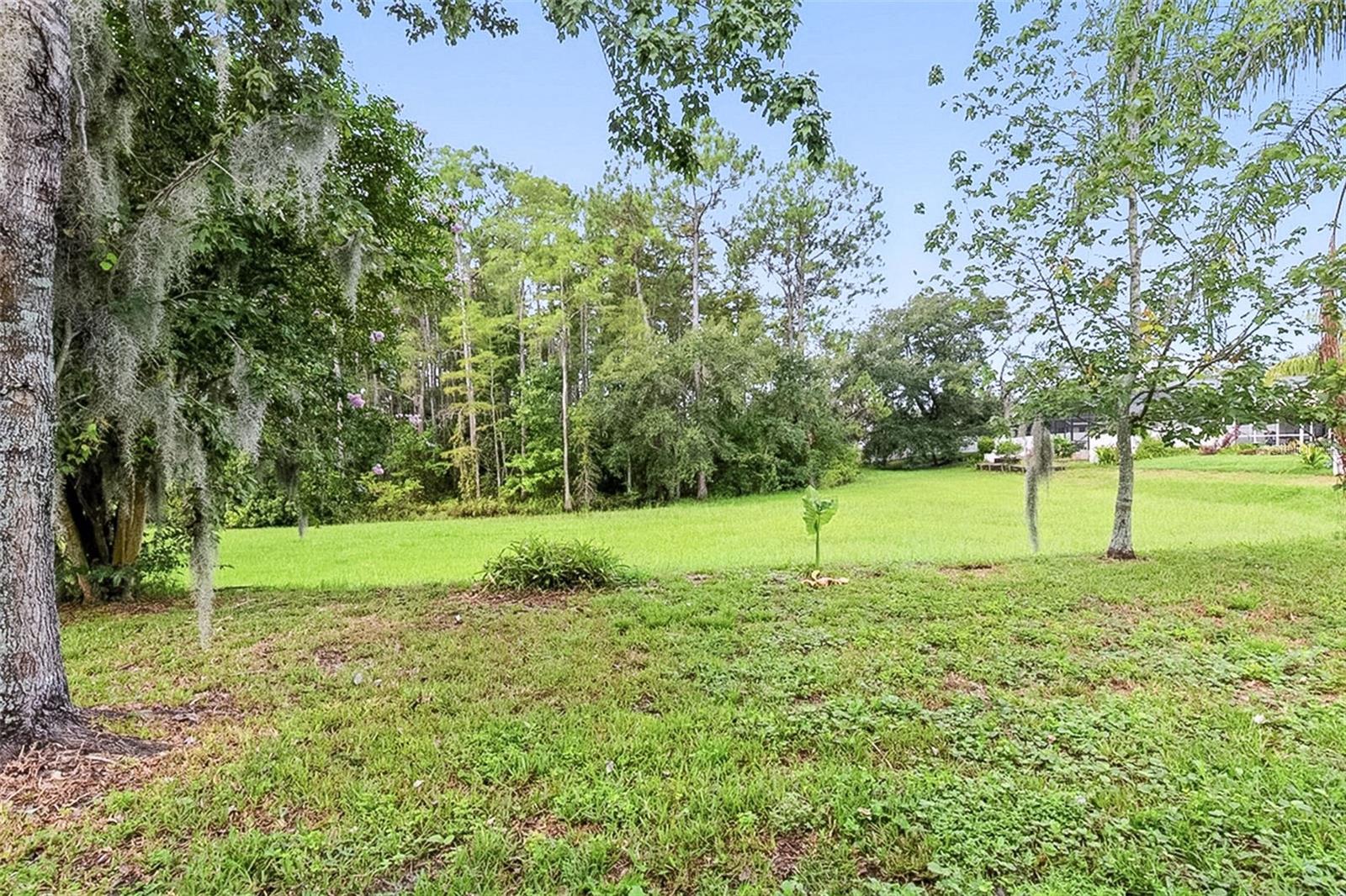 Image 41 of 43 For 7821 Floradora Drive