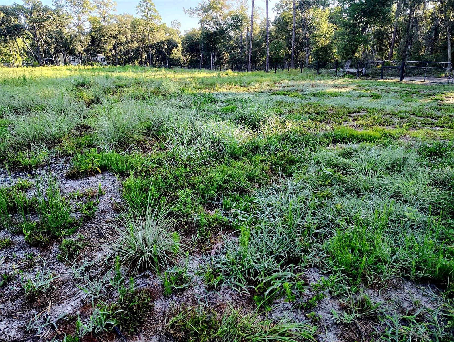 Details for 0 153 Lane , DUNNELLON, FL 34432