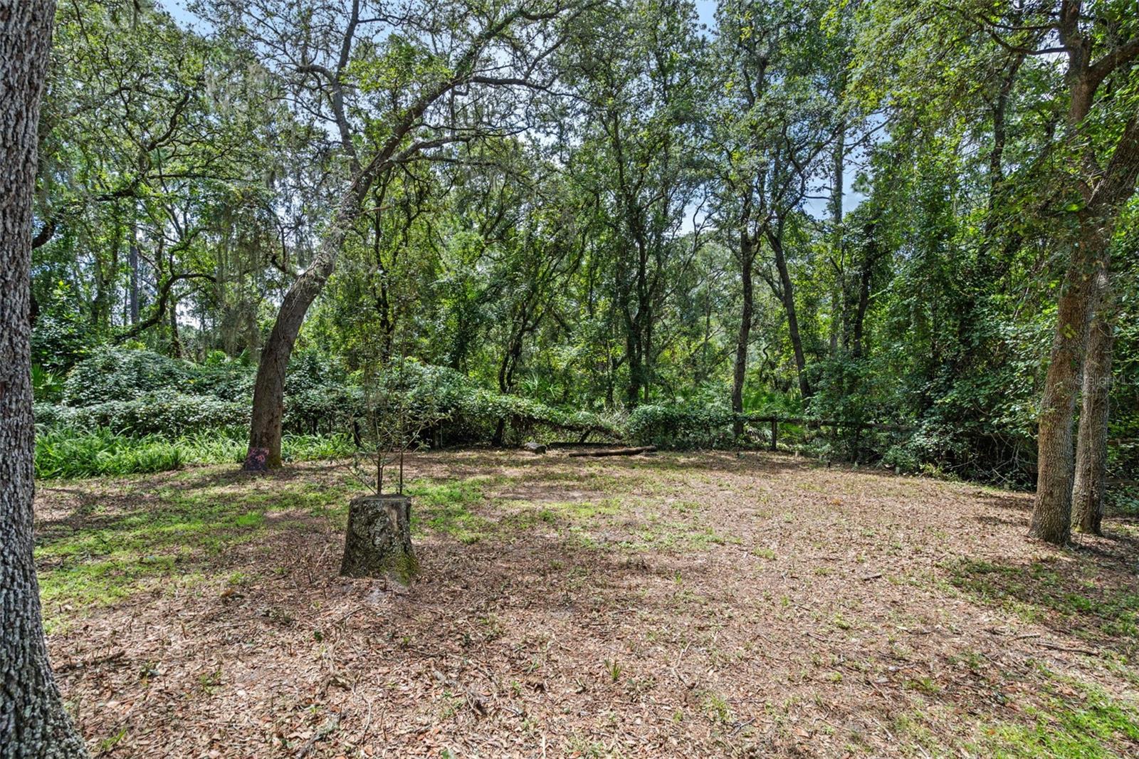 Image 41 of 44 For 31315 Benton Drive