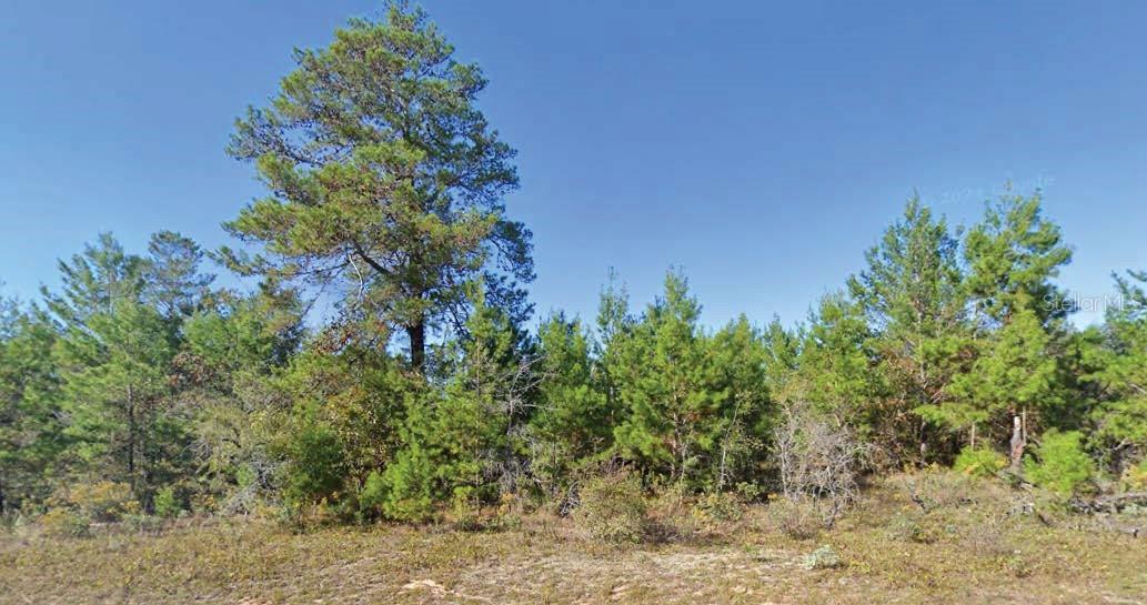 Listing Details for Dumajack Road, CHIPLEY, FL 32428