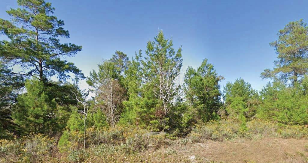 Listing Details for Dumajack Road, CHIPLEY, FL 32428