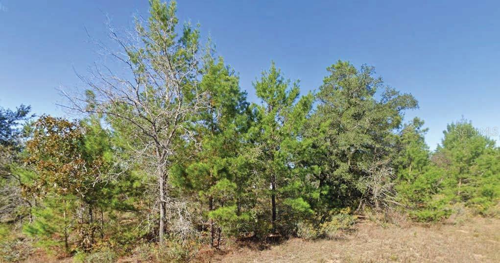 Listing Details for Dumajack Road, CHIPLEY, FL 32428