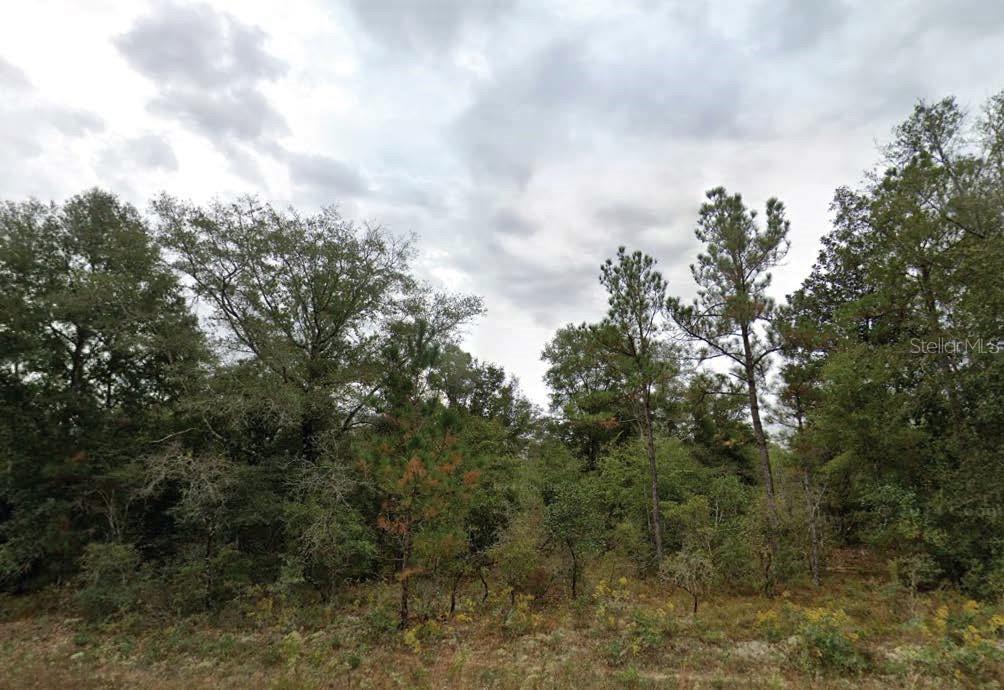 Listing Details for Matheson Street, CHIPLEY, FL 32428