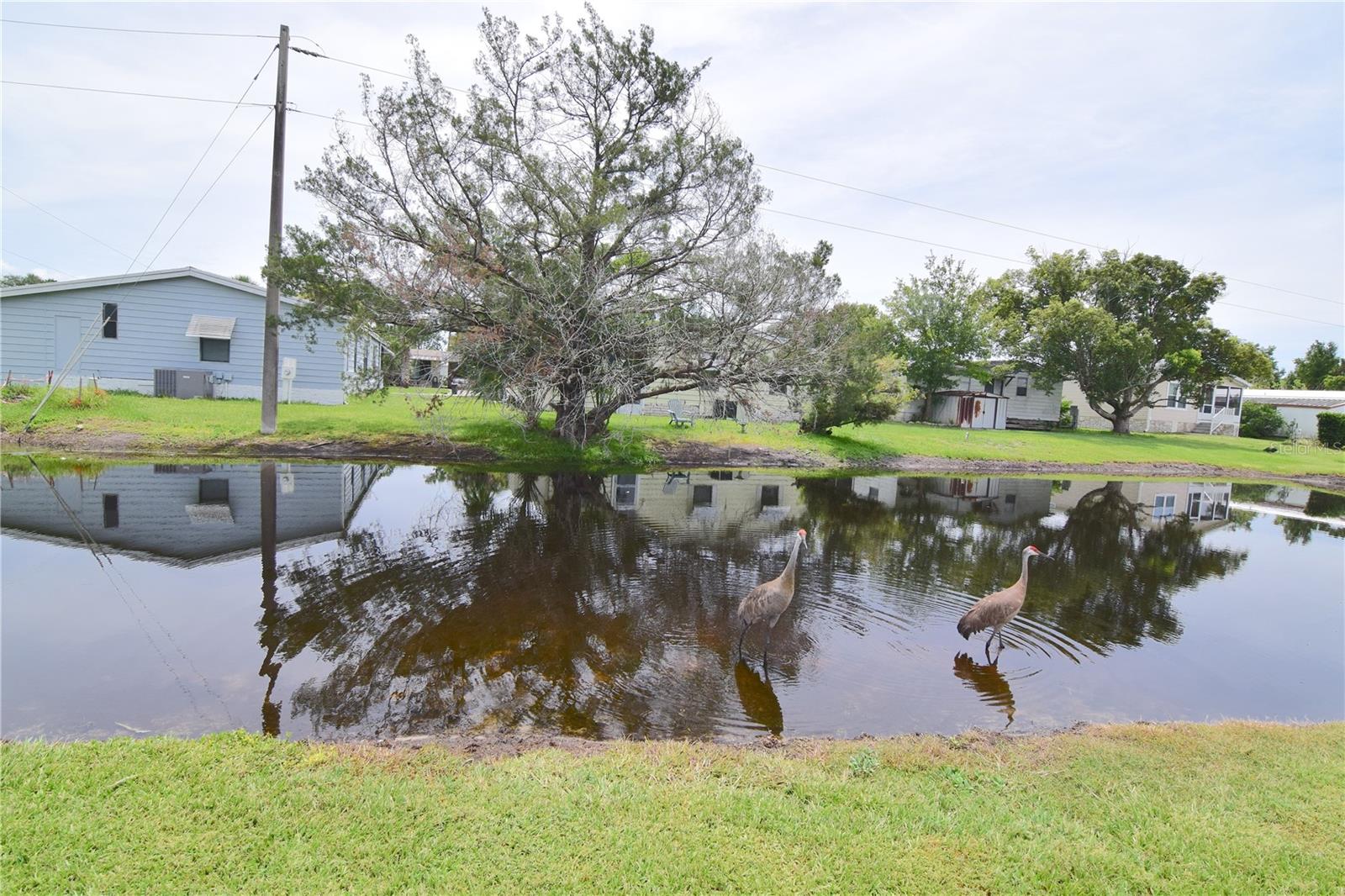 Image 18 of 19 For 4063 Madre Drive