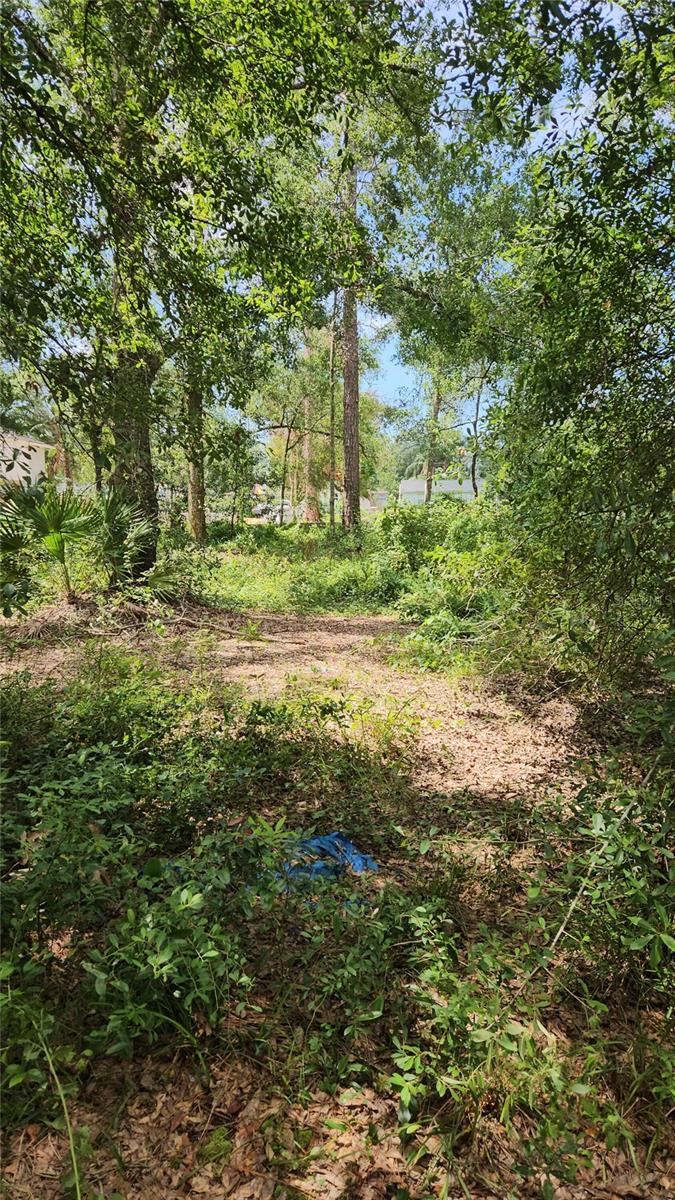 Details for 7624 Anno Street, TAMPA, FL 33625