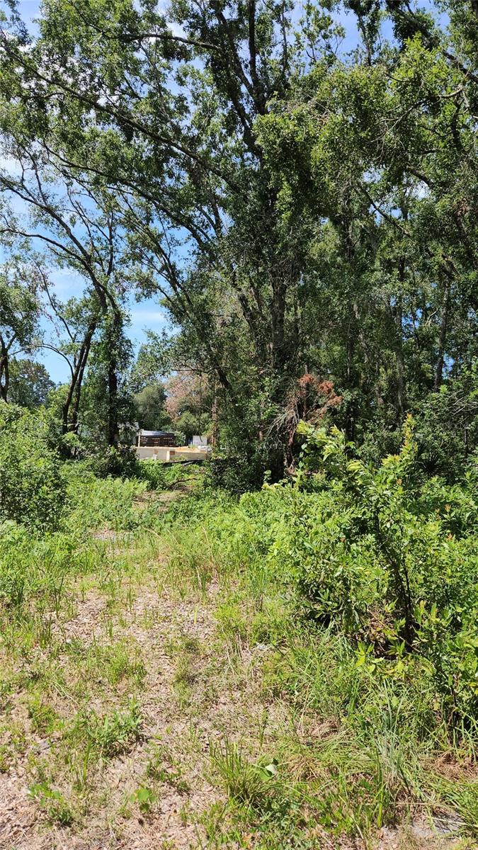 Image 2 of 3 For 7624 Anno Street