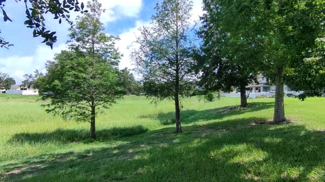 Image 43 of 50 For 992 Nodding Shade Drive