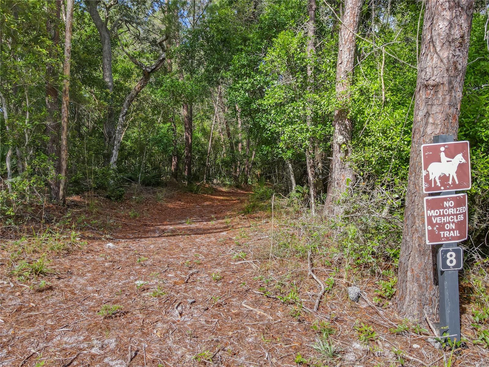 Image 66 of 76 For 700 Valley Stream Drive