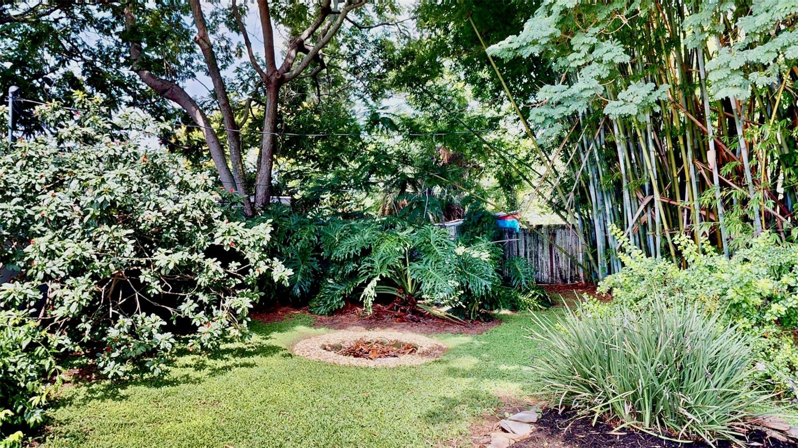 Image 12 of 26 For 737 Alfred Drive