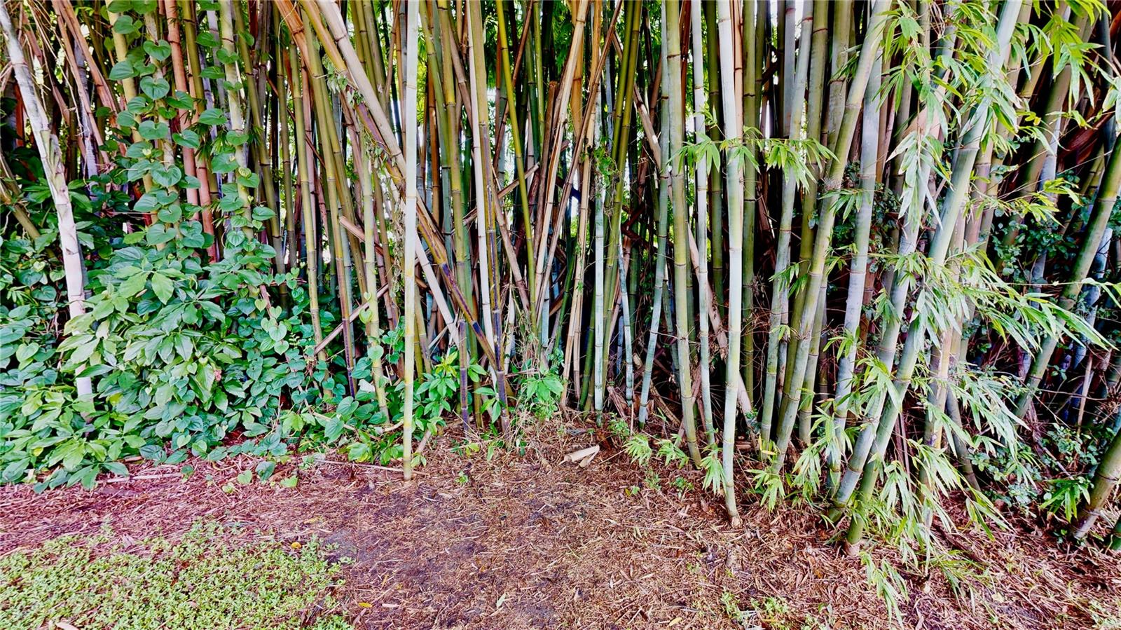 Image 13 of 26 For 737 Alfred Drive