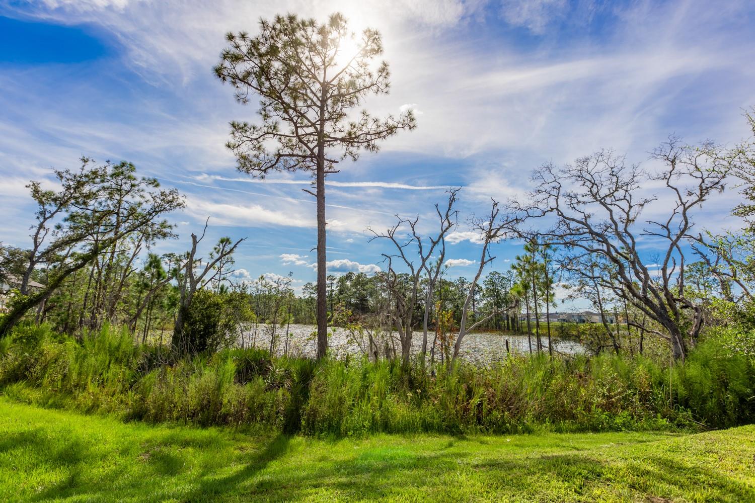 Listing photo id 40 for 1030 Plantation Lane