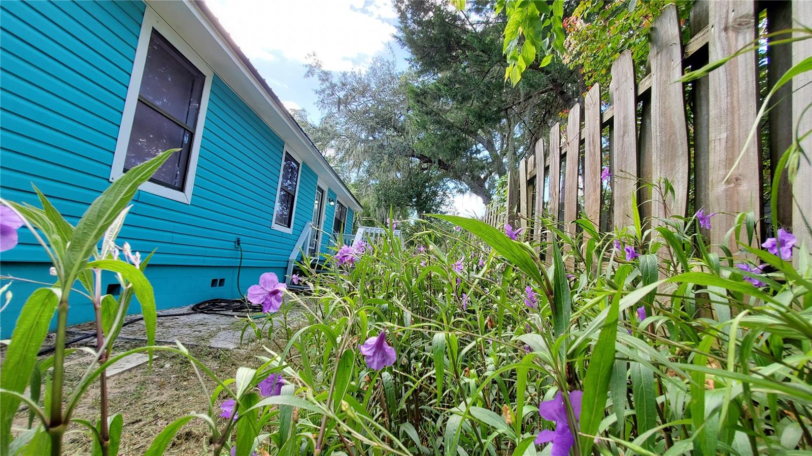 Image 2 of 19 For 6 Hopkins Street